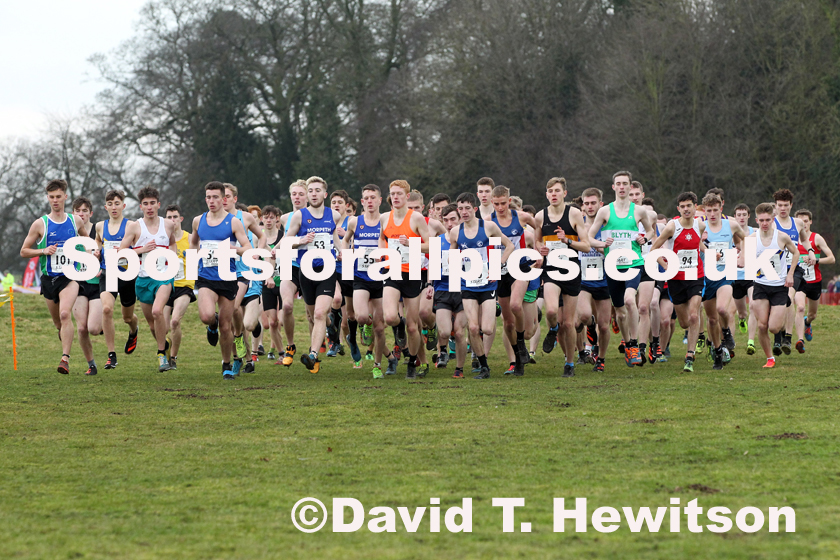 Junior mens Northern Cross Country Champs., Camp Hill Estate, Kirklington.  Photo: David T. Hewitson/Sports for All Pics